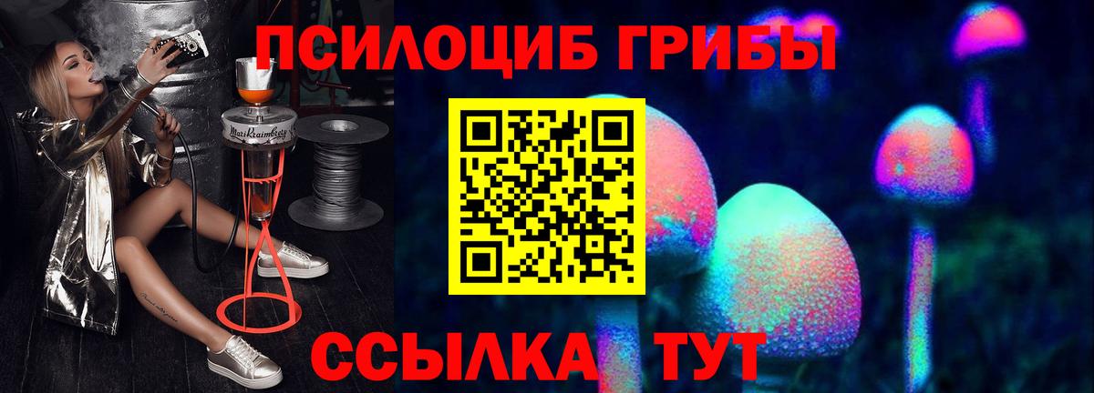 Галлюциногенные грибы мухоморы Нижнеудинск